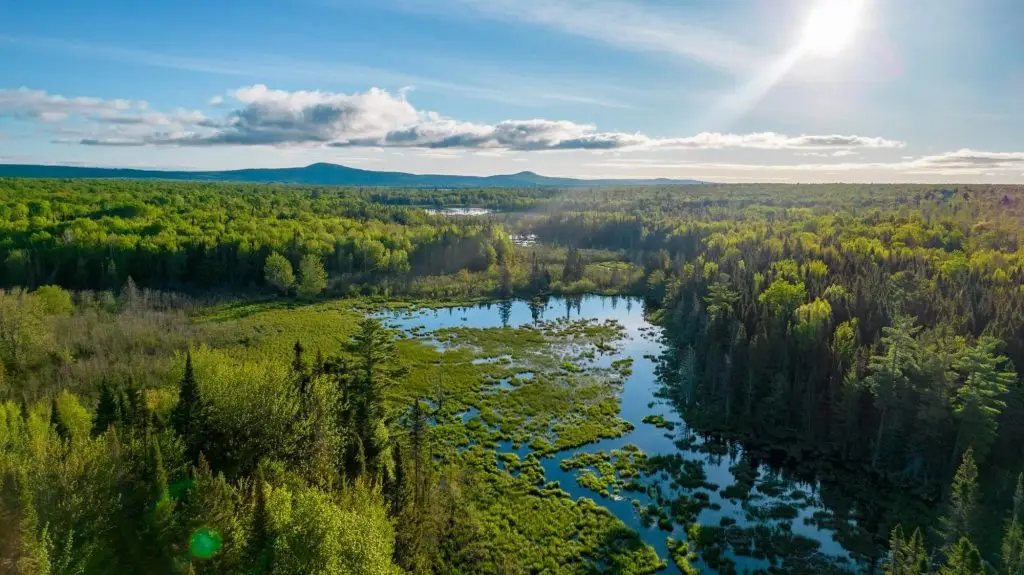Wetlands within the Keweenaw Heartlands. Photo Credit: Devin Leonarduzzi/Quincy Aerial